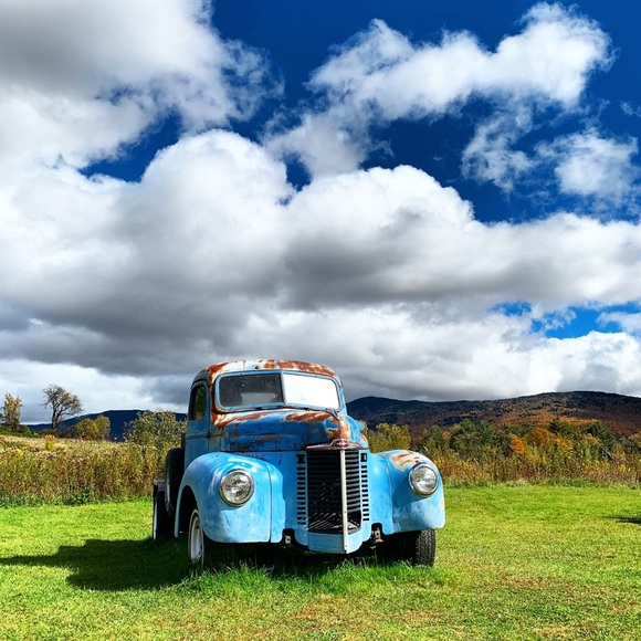 Meet your Posher, Lana - Picture 10 of 10